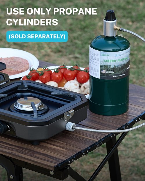 16000 BTU Dual Burner Camping Stove